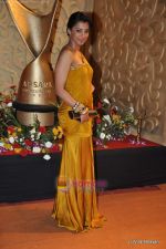 Mugdha Godse at the Red Carpet of Apsara Awards in Chitrakot Grounds on 8th Jan 2009 (40).JPG