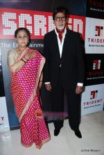 Amitabh Bachchan, Jaya Bachchan at Star Screen Awards red carpet on 9th Jan 2010 (3).JPG