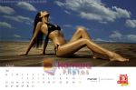 Cloud Nine bikini calendar pictures (8).jpg