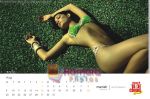 Cloud Nine bikini calendar pictures (9).jpg