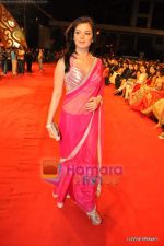 Urvashi Sharma at Stardust Awards on 17th Jan 2010 (2).JPG