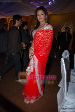 Neetu Chandra at Dhoot_s son_s wedding in Turf Club on 15th Feb 2010 (2).JPG