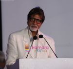 Amitabh Bachchan inaugurates Sea Link phase 2 in Worli, Mumbai on 24th March 2010 (12).JPG