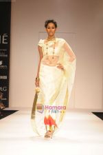 at Designer Nikasha Summer resort collection Siuili at WIFW in New Delhi on 26th March 2010 (12).jpg