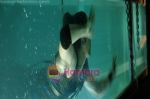 Ranbir Kapoor_s water phobia and underwater adventure on 31st March 2010 (5).jpg