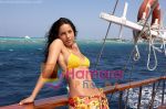 Hrithik Roshan, Barbara Mori in the still from movie Kites (5).jpg