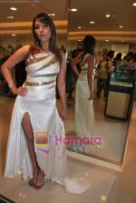 Pooja Misra at the launch of Riyaz Ganji_s Summer 2010 collection in Atria Mall on 22nd April 2010 (17).JPG