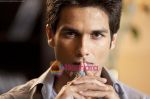 Shahid Kapoor in the still from movie  Badmaash Company (7).jpg