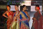 Dipannita Sharma at Tanishq fashion show in Bandra on 8th Sept 2010 (15).JPG