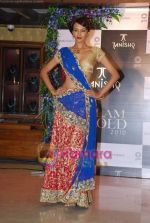 Dipannita Sharma at Tanishq fashion show in Bandra on 8th Sept 2010 (2).JPG