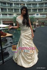 at Amby Valley Bridal week with top designers in Sahara Star on 14th Sept 2010 (101).JPG