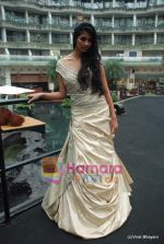 at Amby Valley Bridal week with top designers in Sahara Star on 14th Sept 2010 (102).JPG