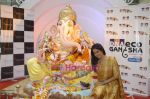 Sameera Reddy at Oberoi Mall ganpati in Goregaon on 17th Sept 2010 (10).JPG