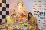 Sameera Reddy at Oberoi Mall ganpati in Goregaon on 17th Sept 2010 (11).JPG