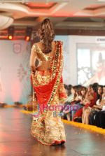 Model walks the ramp for Manali Jagtap Show at Indian Princess in J W Marriott on 25th Sept 2010 (40).JPG