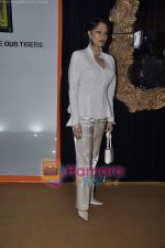 Simi Grewal on day 5 of HDIL-1 on 10th Oct 2010 (2).JPG