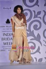 at Rocky S show for Amby Valley Indian Bridal Week on 29th Oct 2010 (38).JPG