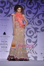 at Rocky S show for Amby Valley Indian Bridal Week on 29th Oct 2010 (39).JPG