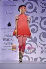 at Rocky S show for Amby Valley Indian Bridal Week on 29th Oct 2010 (42).JPG