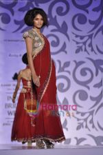 at Rocky S show for Amby Valley Indian Bridal Week on 29th Oct 2010 (54).JPG
