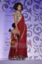 at Rocky S show for Amby Valley Indian Bridal Week on 29th Oct 2010 (55).JPG
