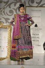 Model walk the ramp for Neeta Lulla for Aamby Valley India Bridal Week 30th Oct 2010 (71).JPG