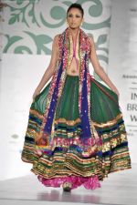 Model walk the ramp for Nisha Sagar for Aamby Valley India Bridal Week 30th Oct 2010 (28).JPG