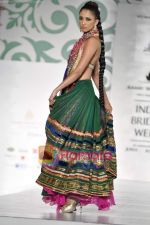 Model walk the ramp for Nisha Sagar for Aamby Valley India Bridal Week 30th Oct 2010 (29).JPG
