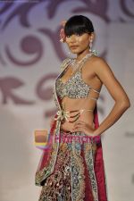 Model walks the ramp for Arjun Anjalee Kapoor for Aamby Valley India Bridal Week on 30th Oct 2010 (103).JPG