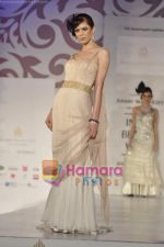 Model walks the ramp for Arjun Anjalee Kapoor for Aamby Valley India Bridal Week on 30th Oct 2010 (17).JPG