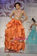 Model walks the ramp for Arjun Anjalee Kapoor for Aamby Valley India Bridal Week on 30th Oct 2010 (29).JPG