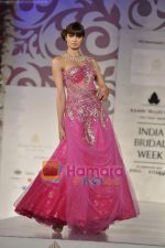 Model walks the ramp for Arjun Anjalee Kapoor for Aamby Valley India Bridal Week on 30th Oct 2010 (36).JPG