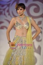 Model walks the ramp for Arjun Anjalee Kapoor for Aamby Valley India Bridal Week on 30th Oct 2010 (74).JPG