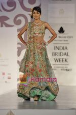 Model walks the ramp for Arjun Anjalee Kapoor for Aamby Valley India Bridal Week on 30th Oct 2010 (94).JPG
