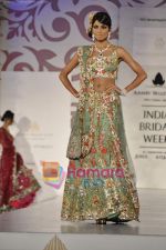 Model walks the ramp for Arjun Anjalee Kapoor for Aamby Valley India Bridal Week on 30th Oct 2010 (95).JPG