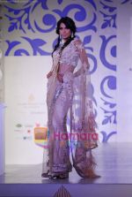 Model walks the ramp for Shane and Falguni Peacock at Aamby Valley India Bridal week DAY 3 on 31st Oct 2010 (21).JPG