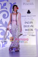Model walks the ramp for Shane and Falguni Peacock at Aamby Valley India Bridal week DAY 3 on 31st Oct 2010 (31).JPG