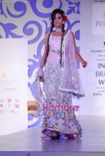 Model walks the ramp for Shane and Falguni Peacock at Aamby Valley India Bridal week DAY 3 on 31st Oct 2010 (34).JPG