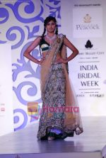 Model walks the ramp for Shane and Falguni Peacock at Aamby Valley India Bridal week DAY 3 on 31st Oct 2010 (57).JPG