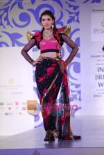 Model walks the ramp for Shane and Falguni Peacock at Aamby Valley India Bridal week DAY 3 on 31st Oct 2010 (75).JPG