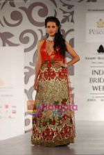 Neha Dhupia walks the ramp for Shane and Falguni Peacock at Aamby Valley India Bridal week DAY 3 on 31st Oct 2010 (3).JPG