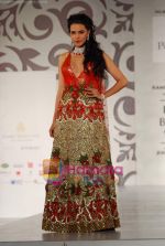 Neha Dhupia walks the ramp for Shane and Falguni Peacock at Aamby Valley India Bridal week DAY 3 on 31st Oct 2010 (6).JPG