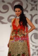 Neha Dhupia walks the ramp for Shane and Falguni Peacock at Aamby Valley India Bridal week DAY 3 on 31st Oct 2010 (7).JPG
