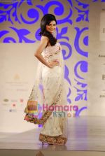 Prachi Desai walks the ramp for Shane and Falguni Peacock at Aamby Valley India Bridal week DAY 3 on 31st Oct 2010 (7).JPG