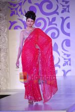 Model walks the ramp for Ashima Leena at Aamby Valley India Bridal Week day 4 on 1st Nov 2010 (36).JPG