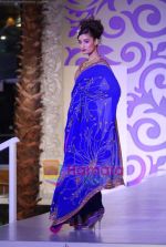 Model walks the ramp for Ashima Leena at Aamby Valley India Bridal Week day 4 on 1st Nov 2010 (74).JPG