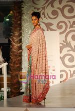 Model walks the ramp for Riyaz Ganji at Aamby Valley India Bridal Week day 4 on 1st Nov 2010 (32).JPG