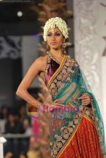 Model walks the ramp for Vikram Phadnis at Aamby Valley India Bridal Week day 4 on 1st Nov 2010 (48).JPG
