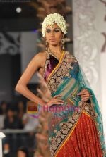 Model walks the ramp for Vikram Phadnis at Aamby Valley India Bridal Week day 4 on 1st Nov 2010 (49).JPG