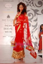 Model walks the ramp for Archana Kocchar at Aamby Valley India Bridal Week day 5 on 2nd Nov 2010 (25).JPG